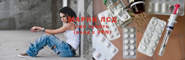 стаф Володарск