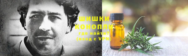 индика Вязьма