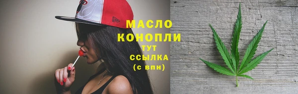 индика Вязьма