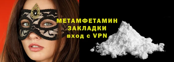 индика Вязьма