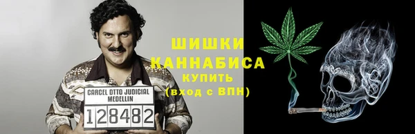 стаф Володарск