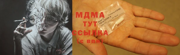 индика Вязьма