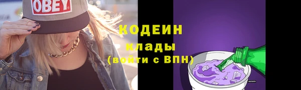 индика Вязьма
