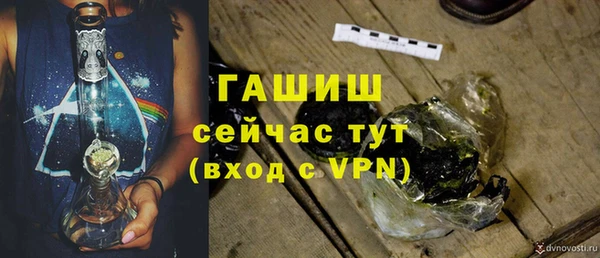 индика Вязьма
