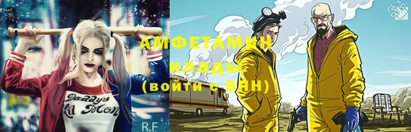 индика Вязьма