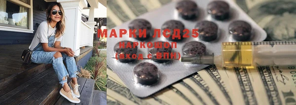 индика Вязьма