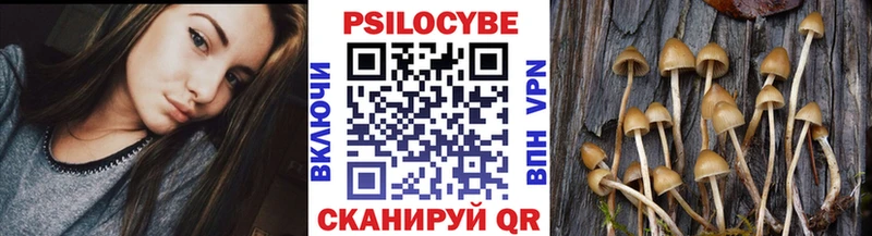 Купить закладки  Малая Вишера  Галлюциногенные грибы прущие грибы 