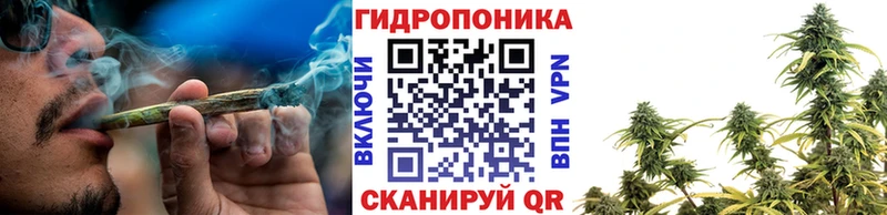 Бошки марихуана Bruce Banner  Купить  Малая Вишера 